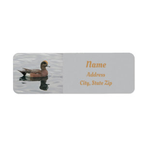 Nature Duck Photo Male Wigeon on Water Return Address Label