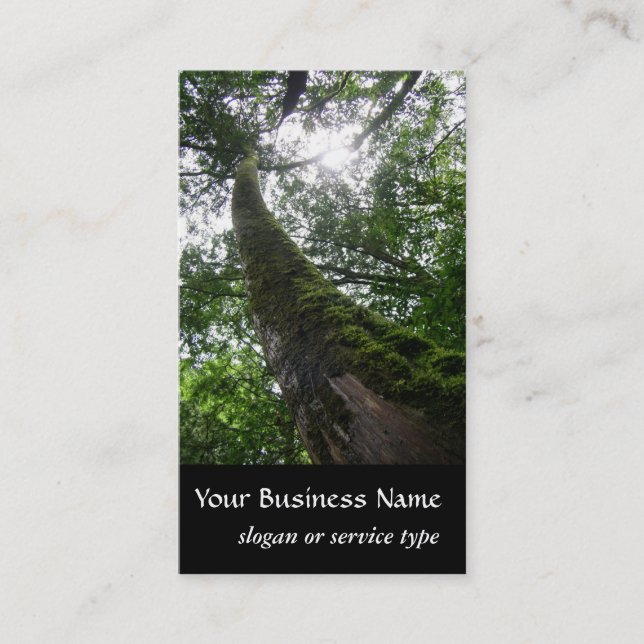 Nature/Evergreen Cypress Tree Business Card (Front)