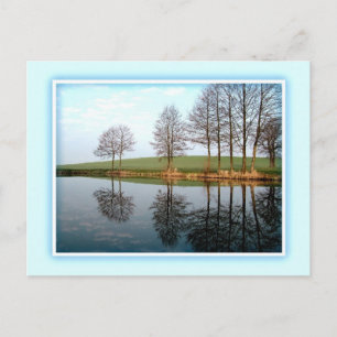 Nature Feflections Custom Postcard