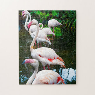 Nature Flamingo Jigsaw Puzzle