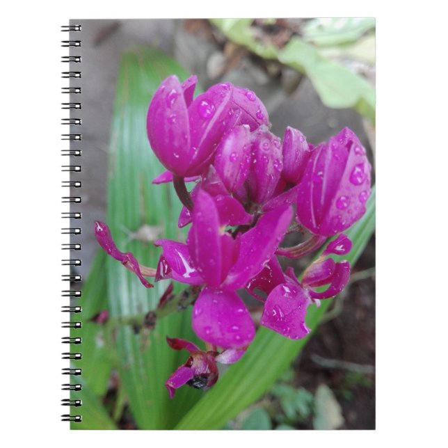 NATURE FLOWER ART FOR GIFT NOTEBOOK (Front)