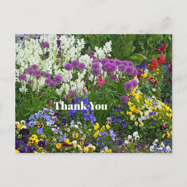 Nature Flower Garden Colorful Photo Thank You Postcard (Front)