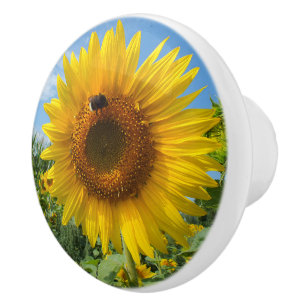 nature, flower, summer, sunflower, blossom, floral ceramic knob