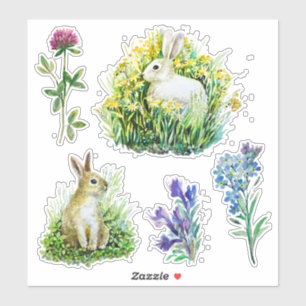 Nature flowers, bunnies, spring
