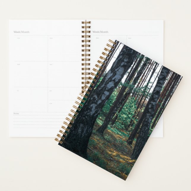 Nature Forest Birch Trees Landscape Planner (Display)