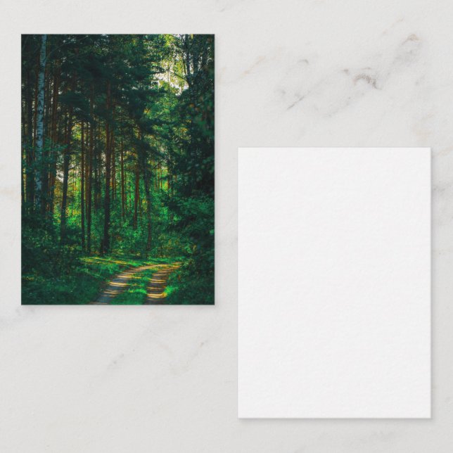 Nature Forest Birch Trees Landscape Road Enclosure Card (Front/Back)