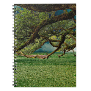 Nature forest foliage tree leaf notebook