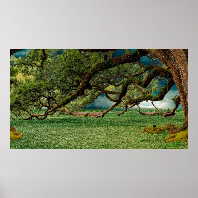 Nature forest foliage tree leaf poster (Front)