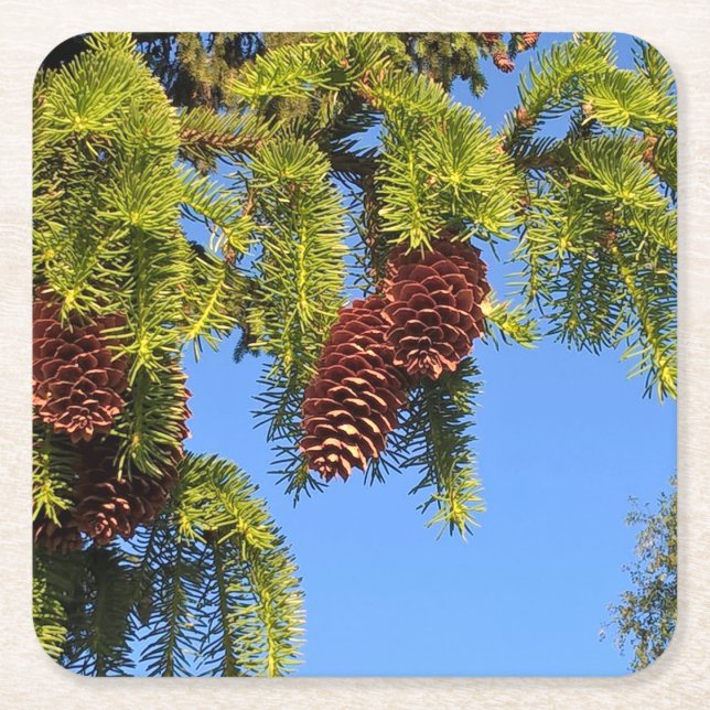 Nature forest photo coaster with branch (Front)