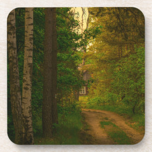 Nature Forest Rural Hut Village Belarus Coaster