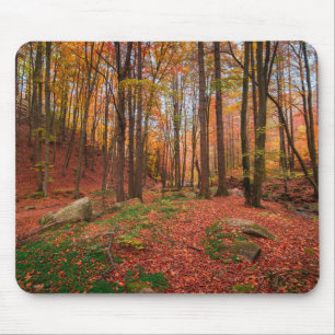 nature, forest, trees mouse pad