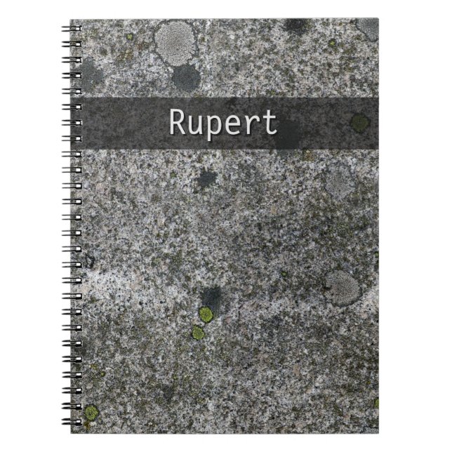 Nature Geology Grey Granite Moss Details any Text Notebook (Front)