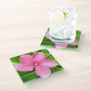 NATURE GIFT FOR MOM DAUGHTER SISTER TEACHER FRIEND GLASS COASTER
