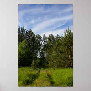 Nature Green Trees Forest Landscape Belarus Poster