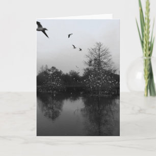 Nature greeting card