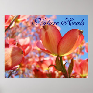 Nature Heals art prints Blue sky Floral Dogwood