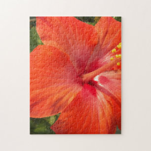 nature, hibiscus, flower, summer, floral, tropical jigsaw puzzle