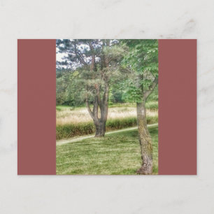 Nature In Beauty 2 Postcard