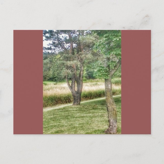 Nature In Beauty 2 Postcard (Front)