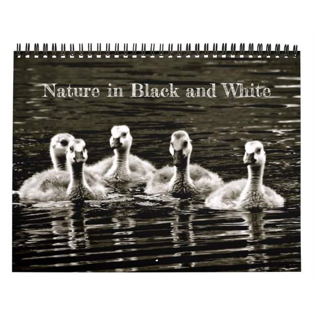 Nature in Black and White Calendar (Cover)