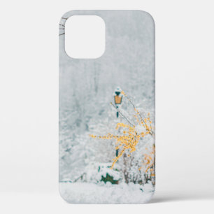 nature in the snow vintage rendering lensart, beau iPhone 12 case