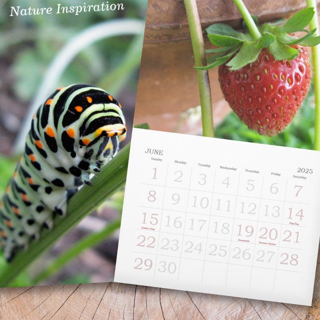 Nature Inspiration Photo Calendar (Nature Inspiration Photo Calendar)
