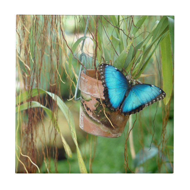 Nature Inspirations Bright Blue Butterfly Ceramic Tile (Front)