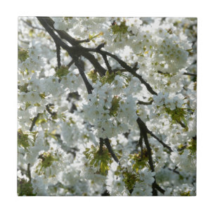 Nature Inspirations Cherry Blossoms Ceramic Tile