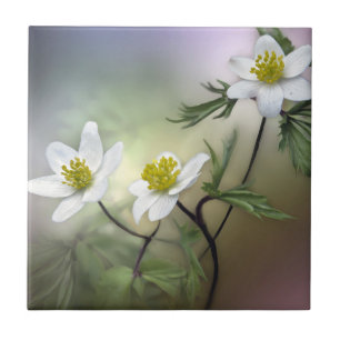 Nature Inspirations Delicate White Flowers Ceramic Tile