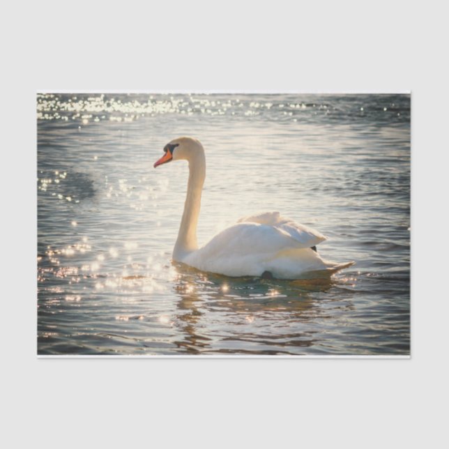 Nature Inspirations Elegant Swan  Tissue Paper (Front)
