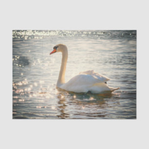 Nature Inspirations Elegant Swan Tissue Paper