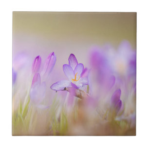 Nature Inspirations Ethereal Lilac Flowers Ceramic Tile
