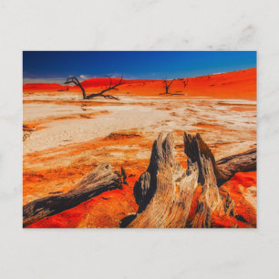 Nature Inspirations Namibia, Africa  Postcard