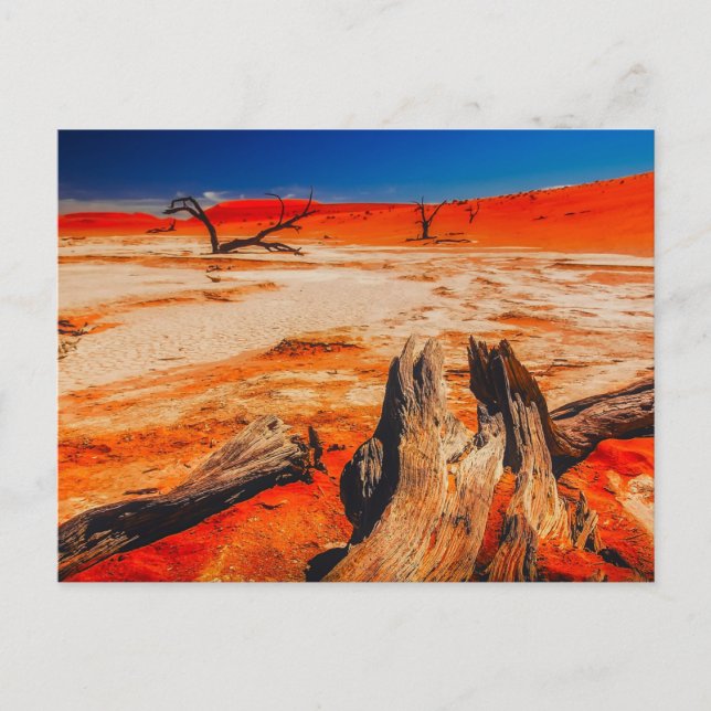 Nature Inspirations Namibia, Africa  Postcard (Front)