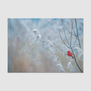 Nature Inspirations Red Cardinal in Wintry Forest Tissue Paper