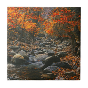 Nature Inspirations Romania, Autumn Forest Ceramic Tile