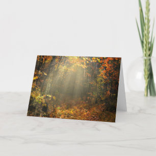 Nature Inspirations Sun Drenched Forest Card
