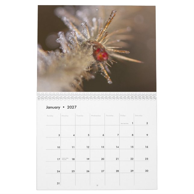 Nature inspired 2026 calendar (Jan 2027)