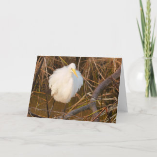 Nature inspired All occasion card Snowy Egret