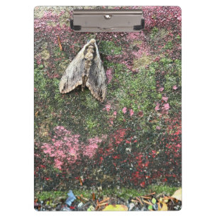 Nature Inspired Moth Clipboard