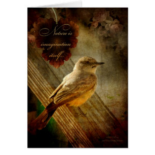 Nature is Imagination