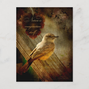 Nature is Imagination Postcard