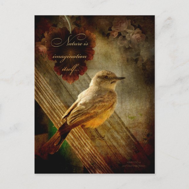 Nature is Imagination Postcard (Front)