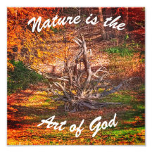 "Nature is the Art of God" Quote Print