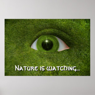 Nature is watching... poster