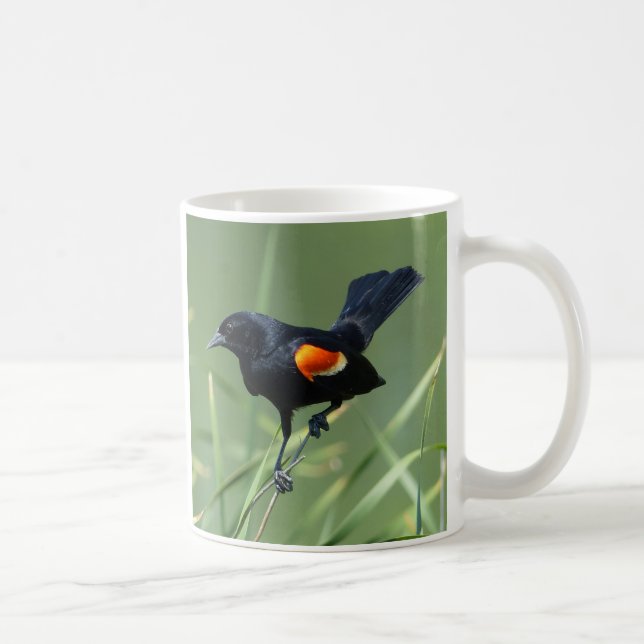 Nature Journey Red-Winged Black Bird Mug (Right)