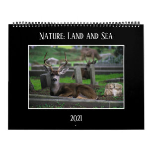 Nature: Land and Sea Calendar 2021
