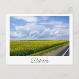 Nature Landscape Canola Field Rural Belarus Postca Postcard