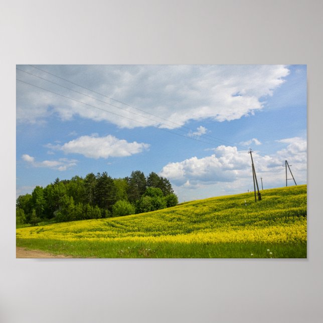 Nature Landscape Canola Field Rural Belarus Poster (Front)