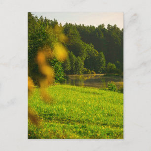 Nature Landscape Lake Scenery Canal Trees Postcard